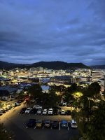 Dunedin