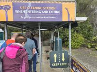 Eingang in den Kauri Wald