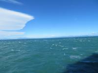 Fähre von Wellington (Nordinsel) nach Picton (Südinsel) - Neuseeland