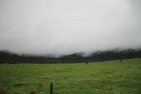 Fahrt nach Hokitika