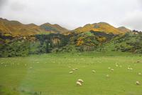 Fahrt nach Kaikoura