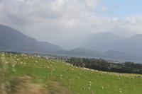 Fahrt nach Te Anou