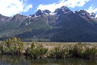 Fahrt von Te Anau zum Milford Sound - Mirror Lake