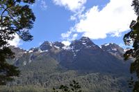 Fahrt von Te Anau zum Milford Sound