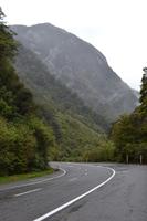 Fahrt zum Haast Pass