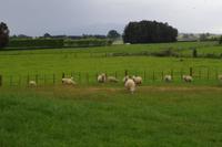 Farmübernachtung