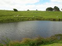 Filmset Hobbiton