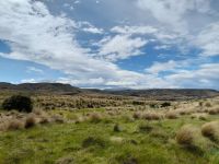 Fiordland