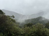 Fiordland