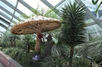 Flower Dome 1