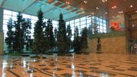 Flughafen Singapor