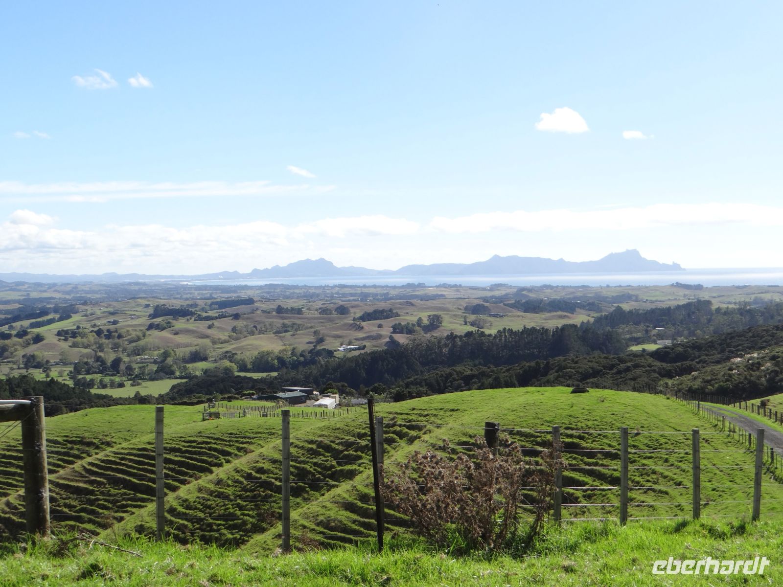 Fotostopp auf dem Weg nach Auckland
