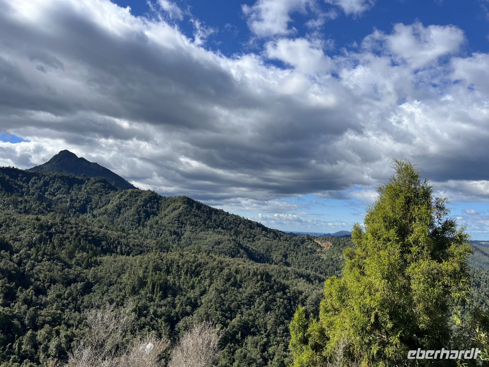 Fotostopp mit Blick auf den Coromandel Forest Park