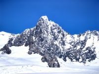 Fox Gletscher
