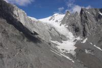 Fox-Gletscher 