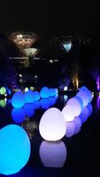 Gardens by the Bay by night (2)