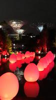 Gardens by the Bay by night (3)