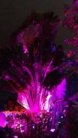 Gardens by the Bay by night (4)