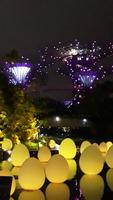 Gardens by the Bay by night (7)