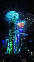 Gardens by the Bay