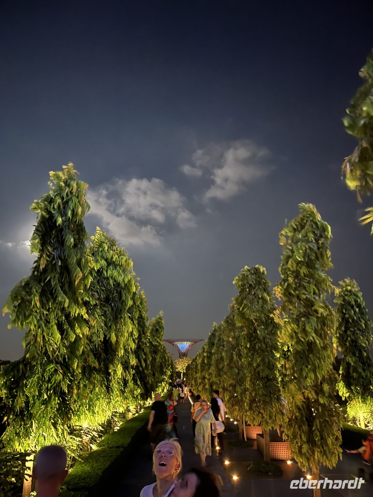 Gardens by the bay