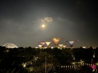 Gardens by the bay