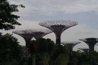 Gardens of Bay