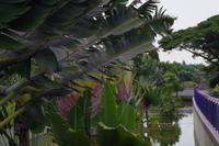 Gardens of Bay