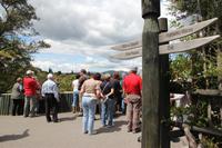 Geothermalgebiet Te Puia in Rotorua