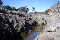 Gumdiggers Park