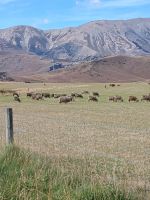 Haast Pass