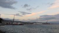 Hafen Wellington