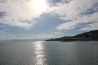 Hafen Wellington