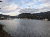 Hafen Whitianga