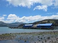 Hafen von Akaroa