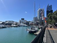 Hafen von Auckland