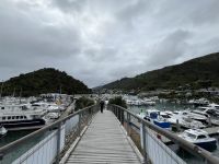 Hafen von Picton