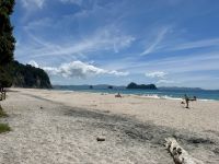 Hahei Beach 