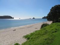Hahei Beach
