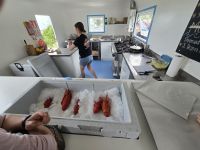 Half Moon Bay, bei Kaikoura