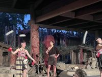 Hangi (3)