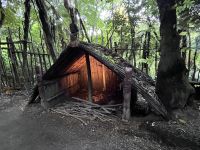 Hangi (6)