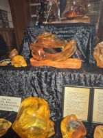 Harz (Gum) der Kauri Bäume