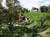 Hobbiton Movie Set, arrangierte Idylle