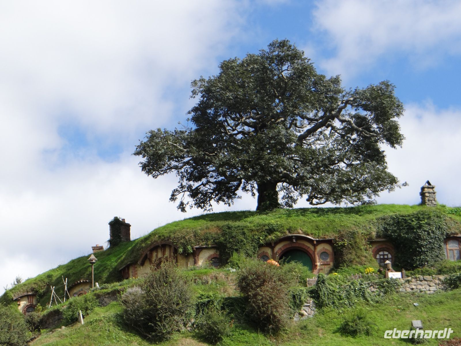 Hobbiton Movie Set, ein idealer Baum, natürlich gewachsen und neu zusammengesetzt, mit über 300.000 künstlichen Blättern.