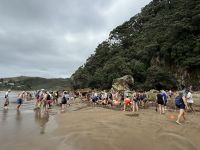 Hot Water Beach 