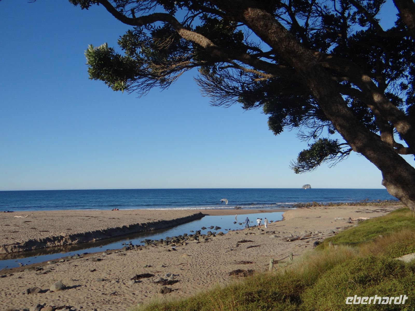 Hot Water Beach, der restliche Strand ist ohne Besucher.