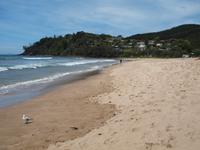 Hot Water Beach