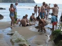 Hot Water Beach