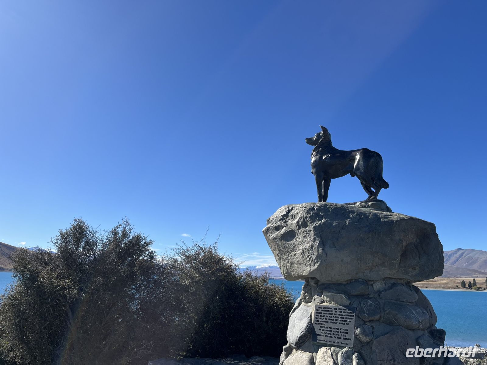 Hundestatue am Lake Tekapo